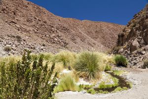 Machuca to Rio Grande hike 018.jpg